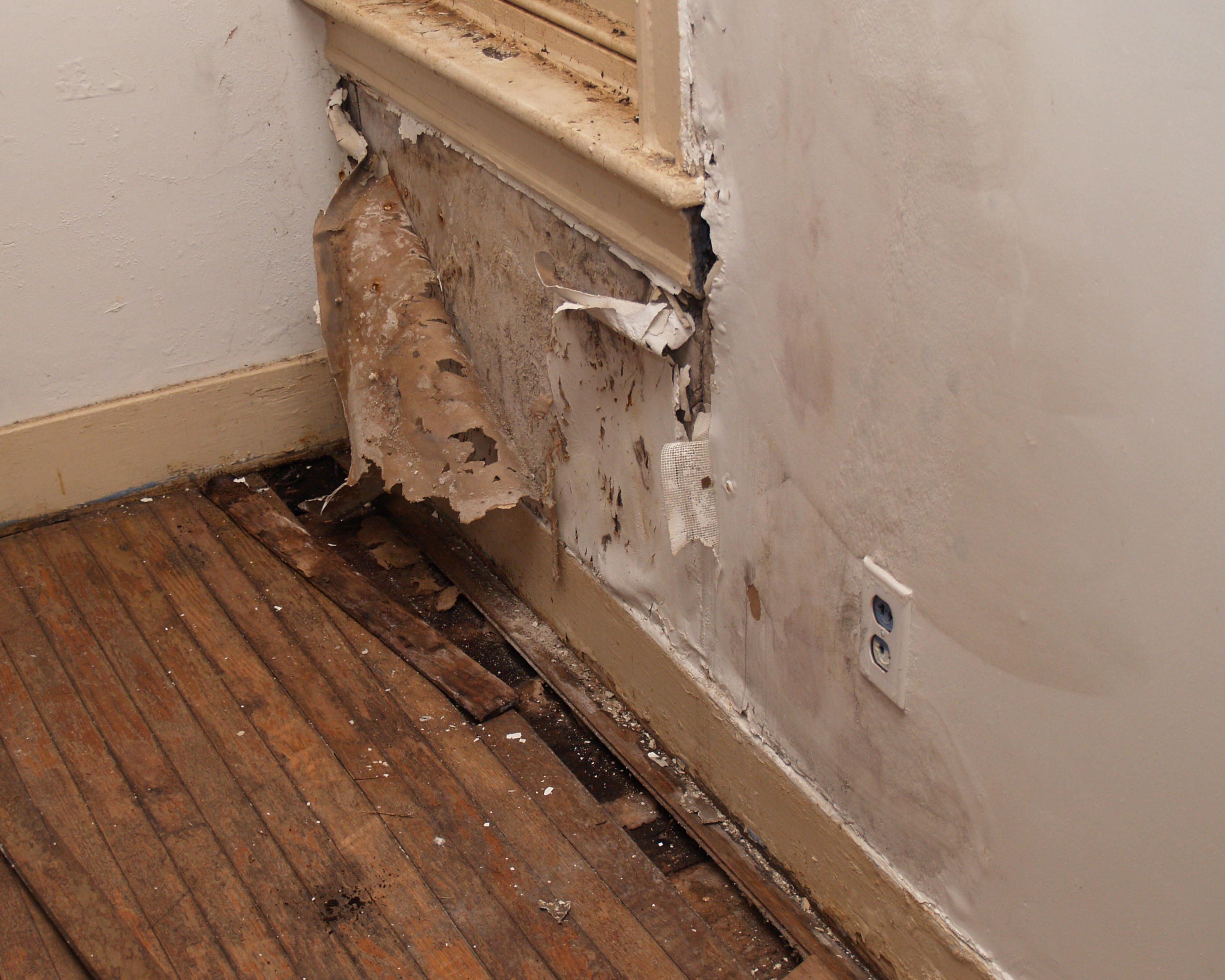 Почему отошла стена. Плесень в квартире. Промерзает пол в квартире. Промерзание стен. Плесень на стенах.