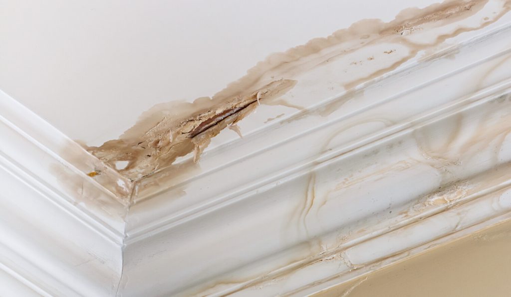 Water Damage Insurance Claims